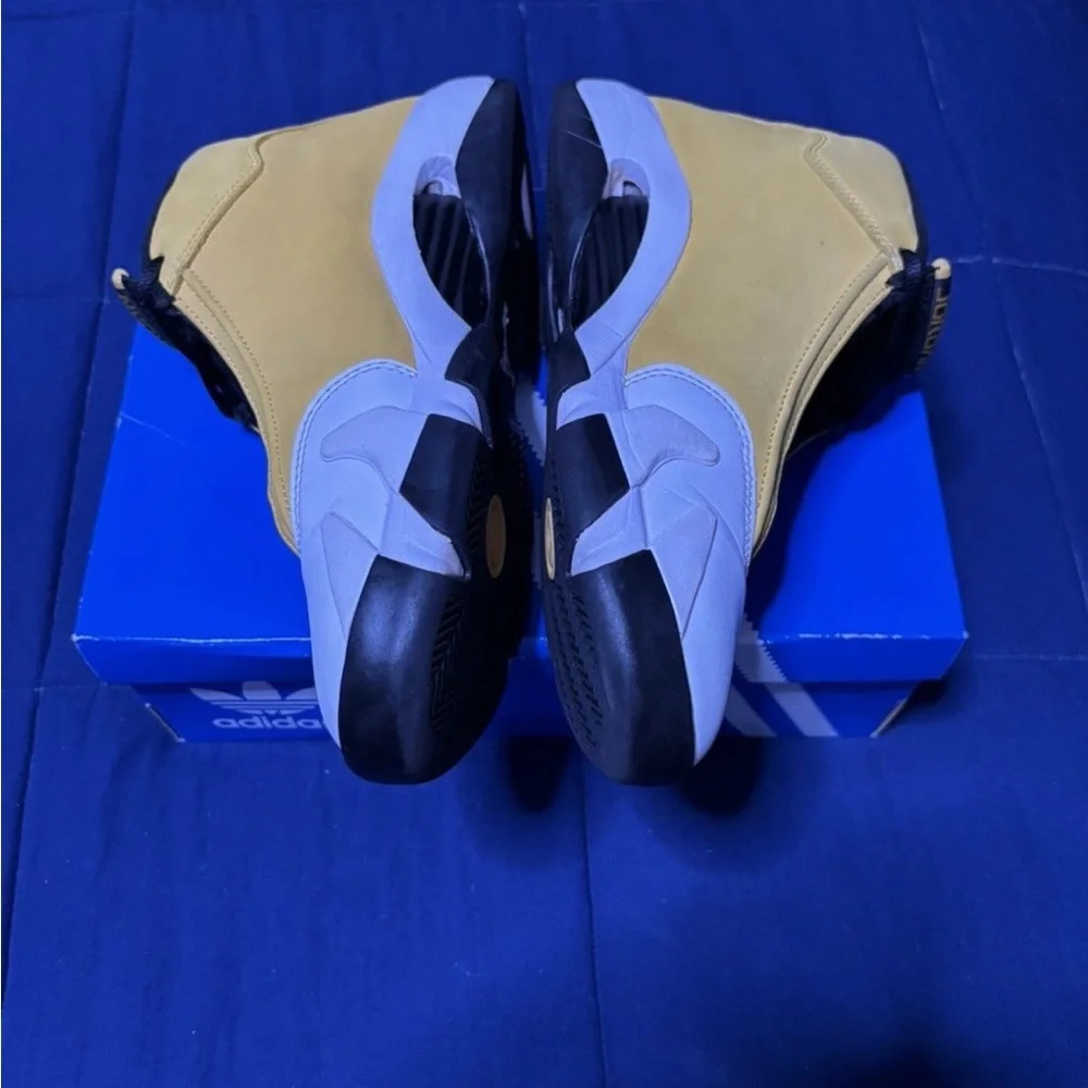 Jordan 14 retro